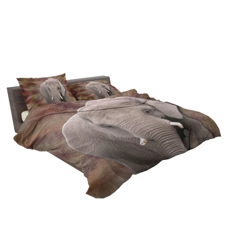 3D Elephant Majestic African Beauty Bedding Set 2