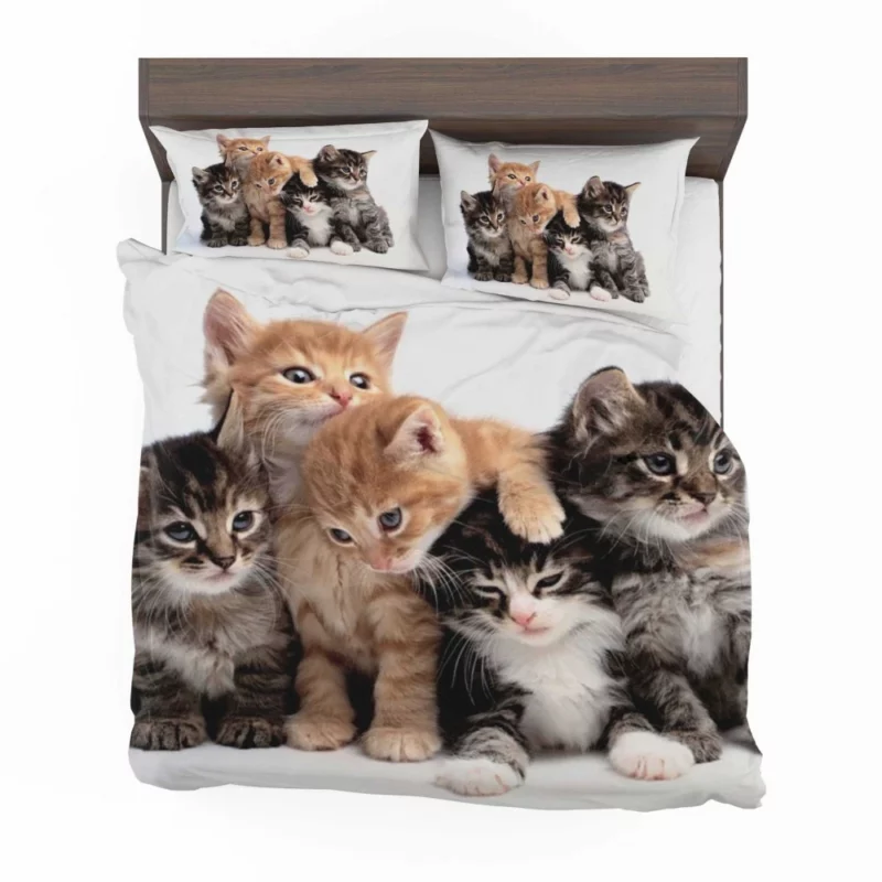 Adorable Kitten Duo Feline Love Bedding Set 1