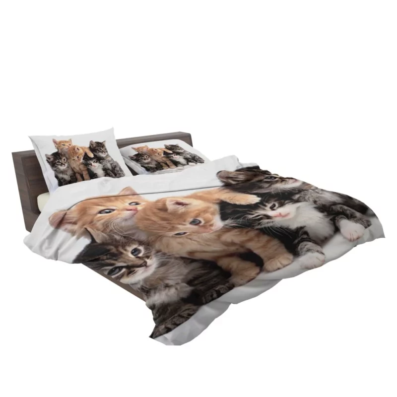 Adorable Kitten Duo Feline Love Bedding Set 2