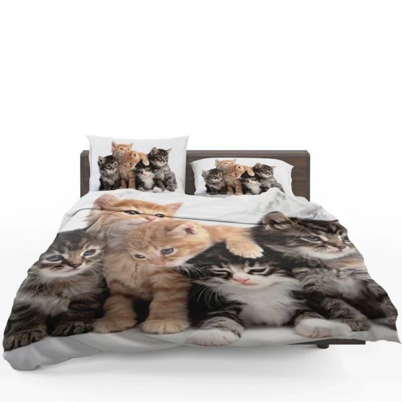 Adorable Kitten Duo Feline Love Bedding Set