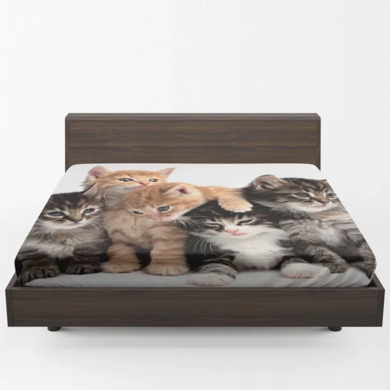 Adorable Kitten Duo Feline Love Fitted Sheet