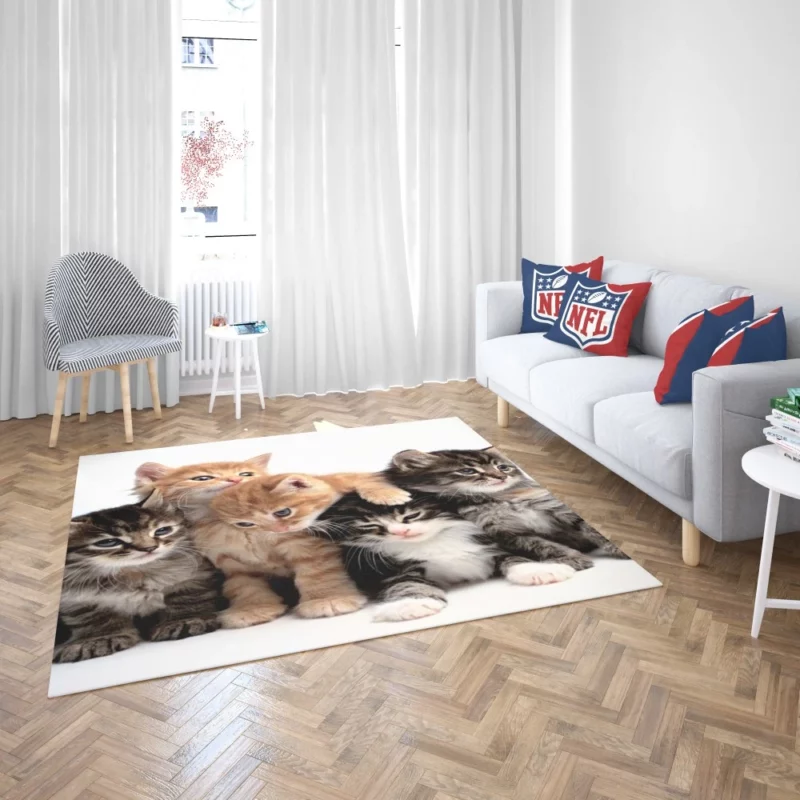 Adorable Kitten Duo Feline Love Rug 2