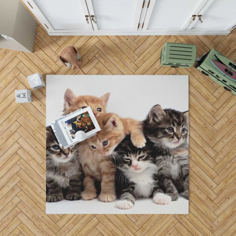 Adorable Kitten Duo Feline Love Rug