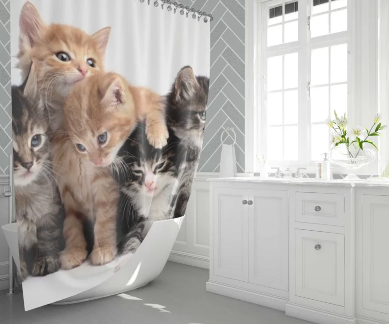 Adorable Kitten Duo Feline Love Shower Curtain 1