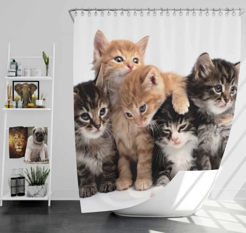 Adorable Kitten Duo Feline Love Shower Curtain