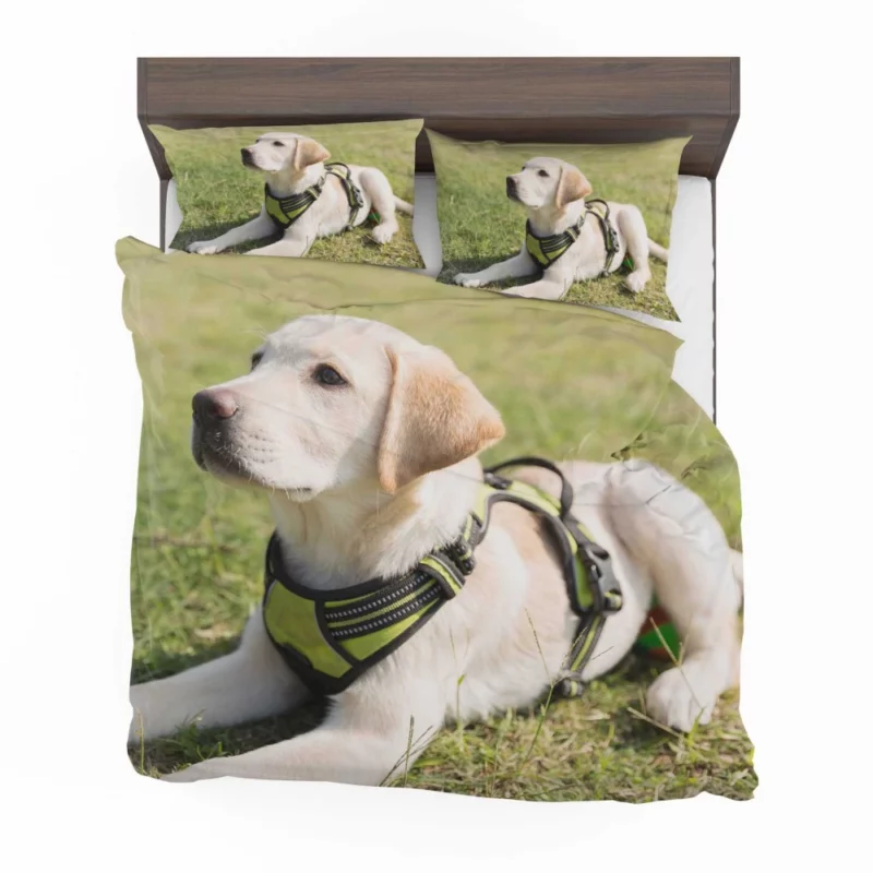 Adorable Labrador Pup Innocent Whimsy Bedding Set 1