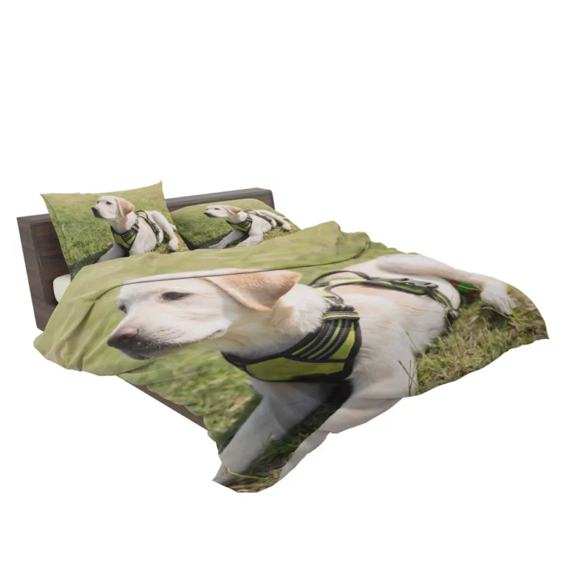 Adorable Labrador Pup Innocent Whimsy Bedding Set 2