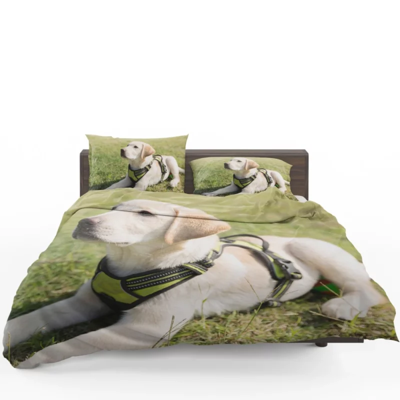 Adorable Labrador Pup Innocent Whimsy Bedding Set