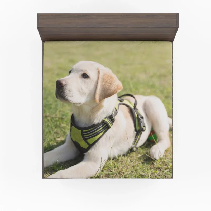 Adorable Labrador Pup Innocent Whimsy Fitted Sheet 1