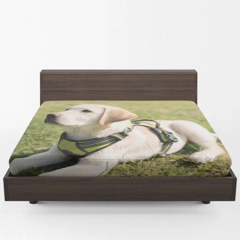 Adorable Labrador Pup Innocent Whimsy Fitted Sheet