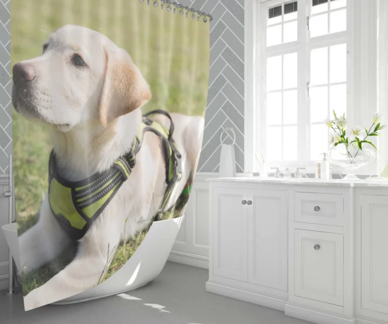 Adorable Labrador Pup Innocent Whimsy Shower Curtain 1