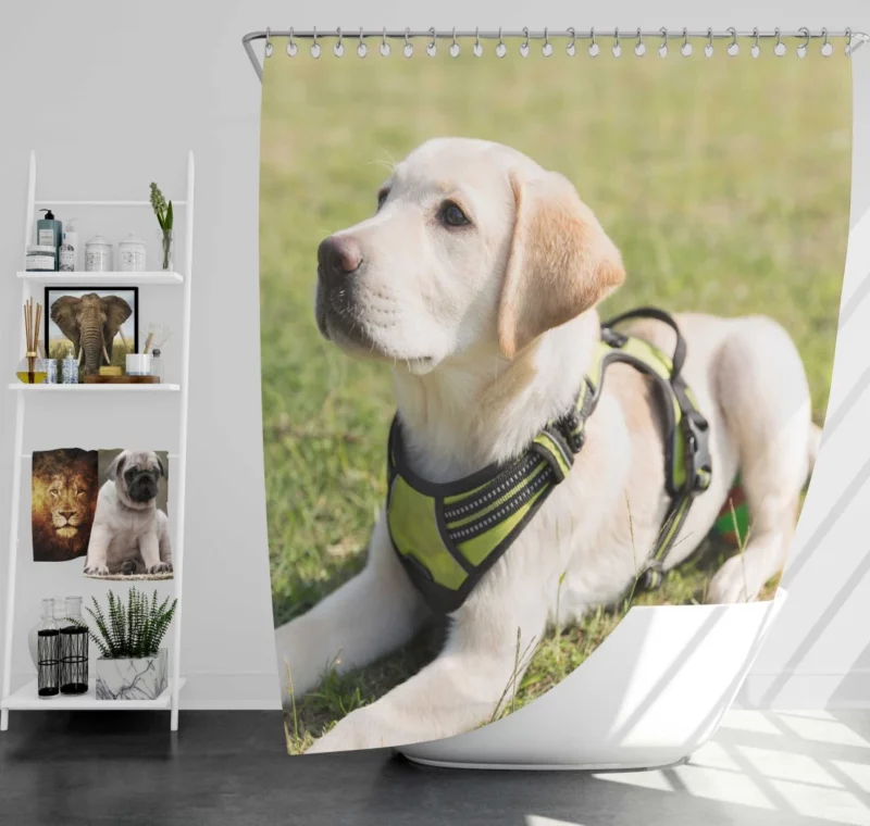 Adorable Labrador Pup Innocent Whimsy Shower Curtain