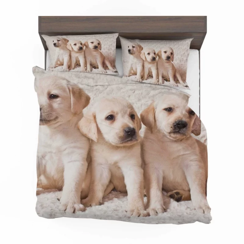 Adorable Labrador Puppies Furry Cuteness Bedding Set 1