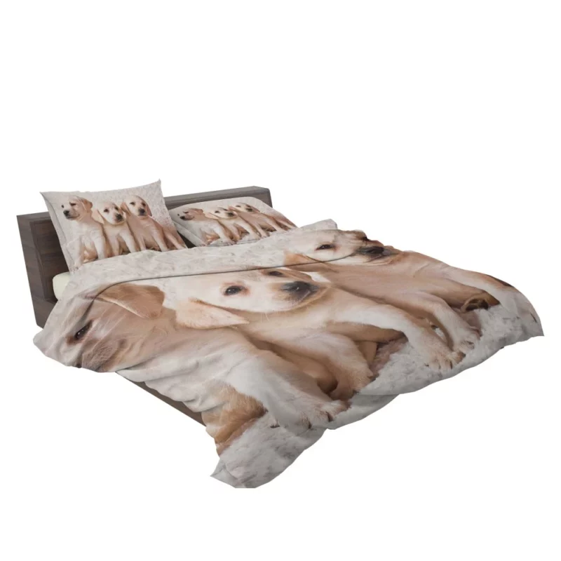 Adorable Labrador Puppies Furry Cuteness Bedding Set 2