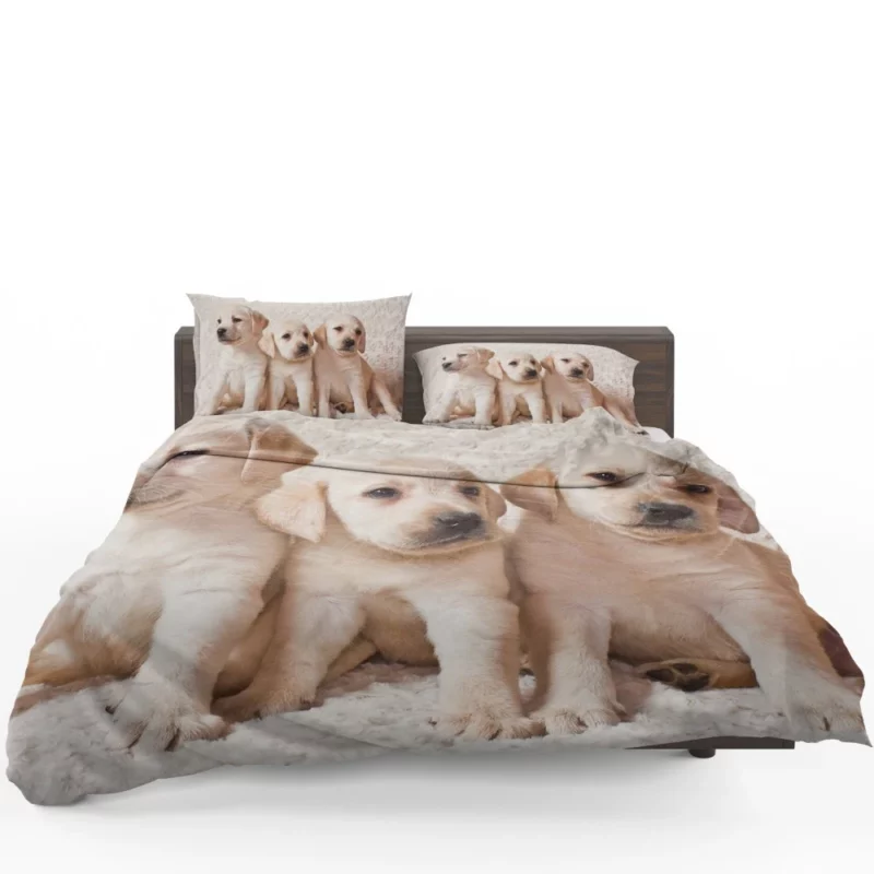 Adorable Labrador Puppies Furry Cuteness Bedding Set