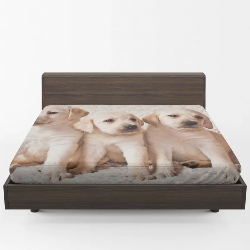 Adorable Labrador Puppies Furry Cuteness Fitted Sheet