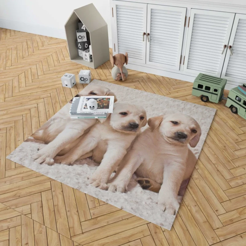 Adorable Labrador Puppies Furry Cuteness Rug 1