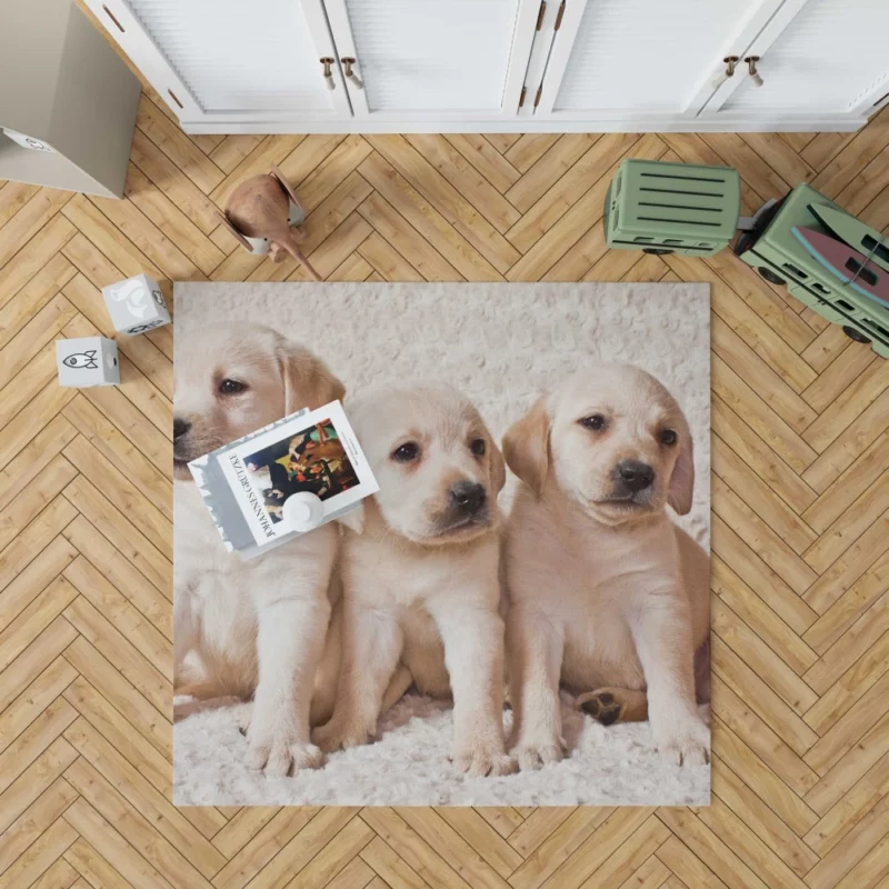 Adorable Labrador Puppies Furry Cuteness Rug