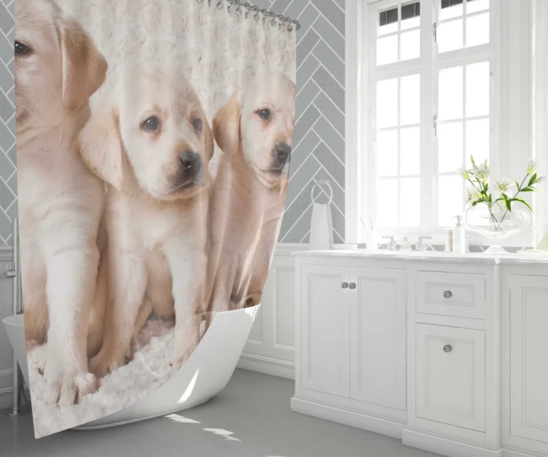 Adorable Labrador Puppies Furry Cuteness Shower Curtain 1