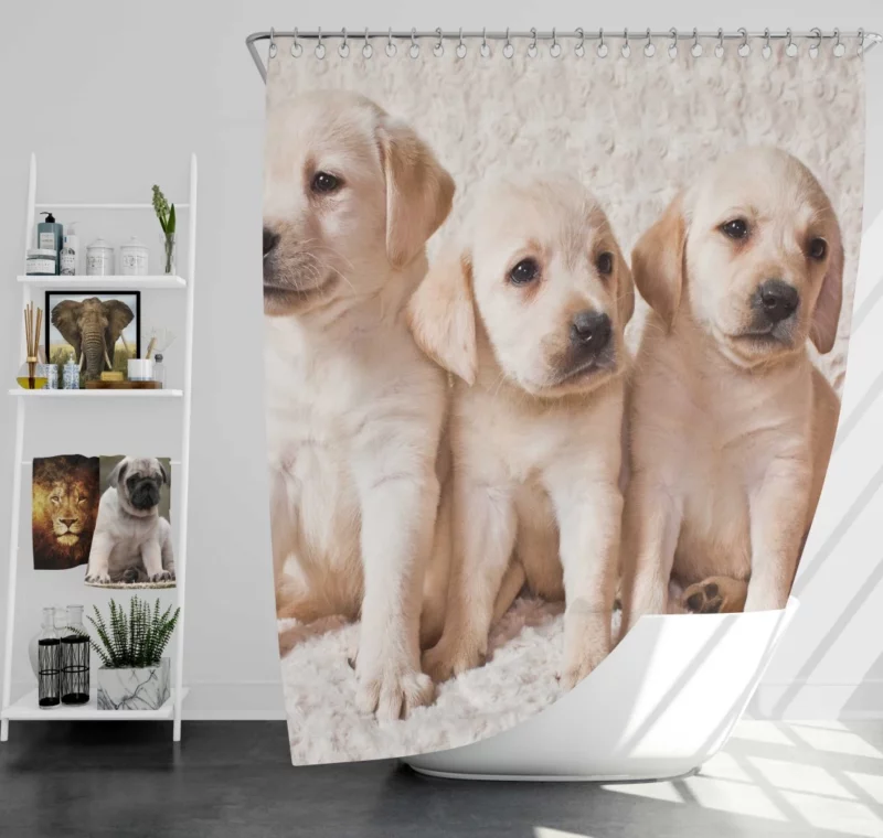 Adorable Labrador Puppies Furry Cuteness Shower Curtain