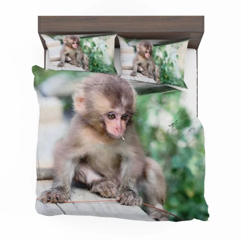 Adorable Monkey Playful Antics Bedding Set 1