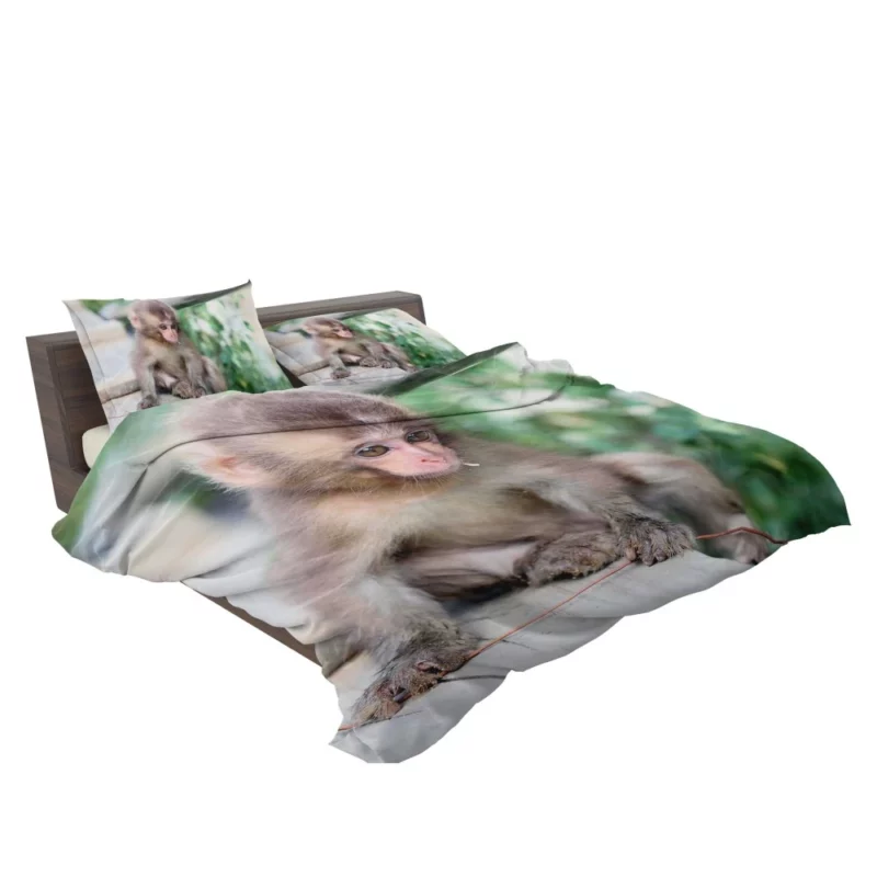 Adorable Monkey Playful Antics Bedding Set 2