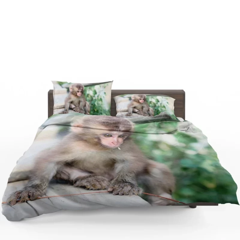 Adorable Monkey Playful Antics Bedding Set