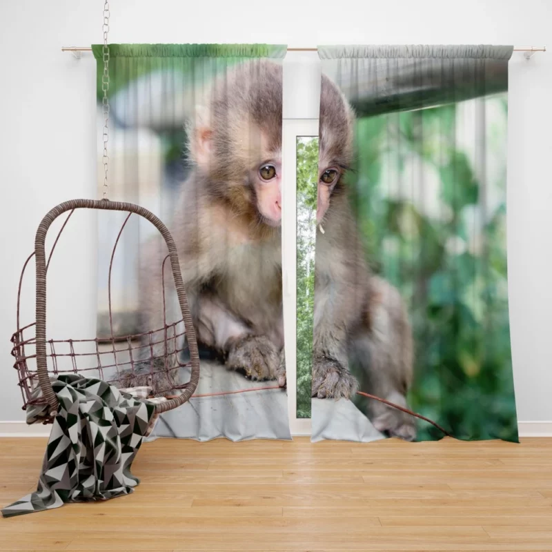 Adorable Monkey Playful Antics Curtain