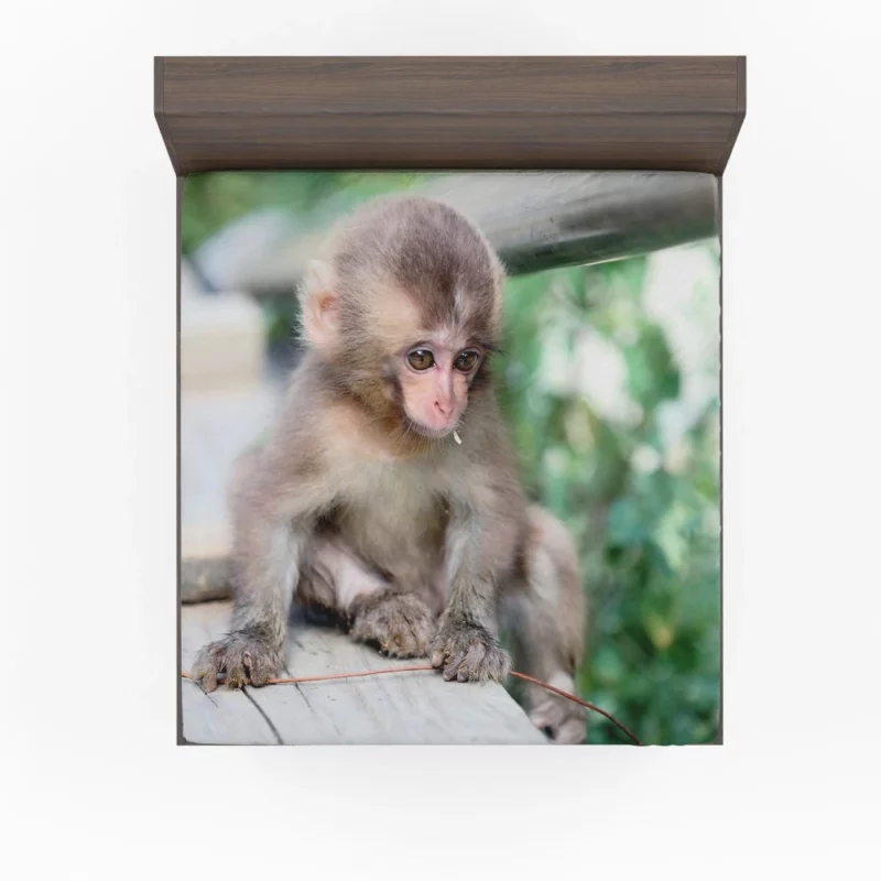 Adorable Monkey Playful Antics Fitted Sheet 1