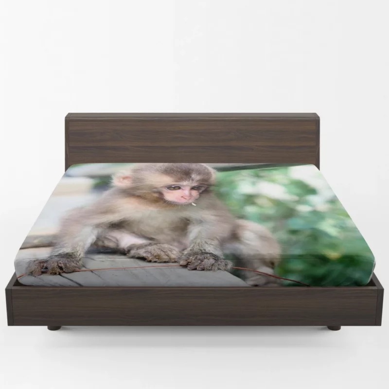 Adorable Monkey Playful Antics Fitted Sheet