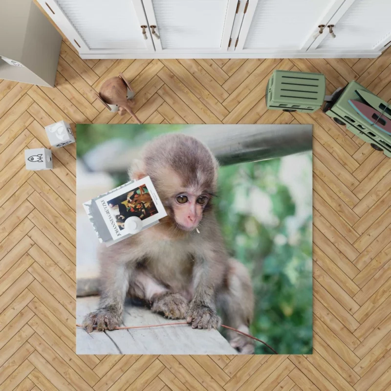 Adorable Monkey Playful Antics Rug