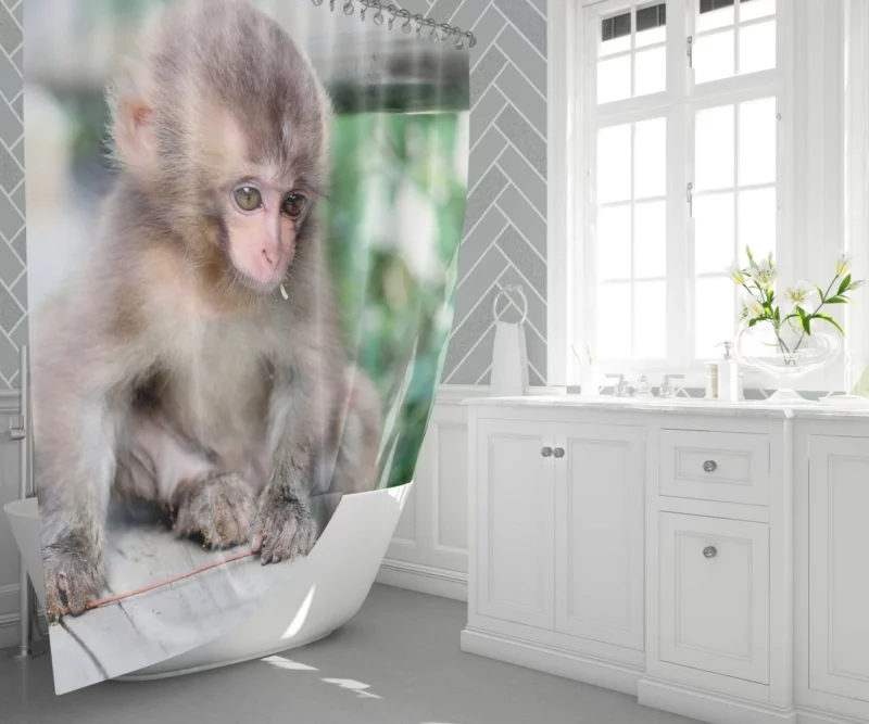 Adorable Monkey Playful Antics Shower Curtain 1