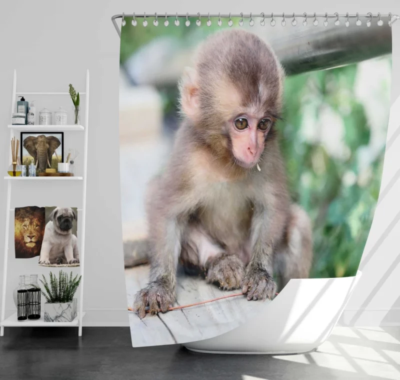 Adorable Monkey Playful Antics Shower Curtain