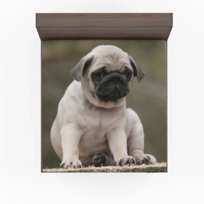 Adorable Play Pug Antics Fitted Sheet 1