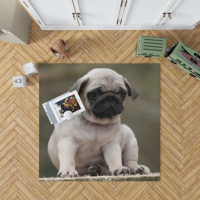 Adorable Play Pug Antics Rug