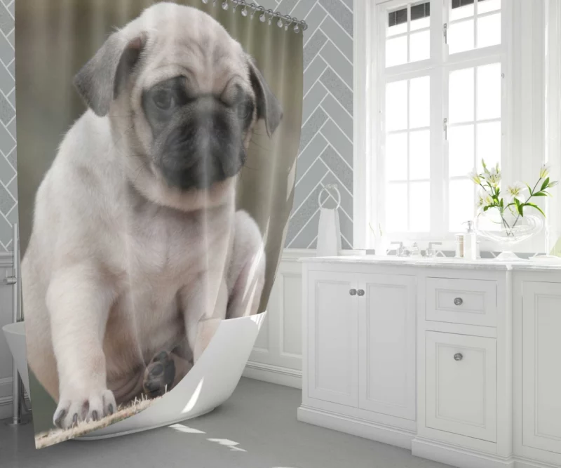 Adorable Play Pug Antics Shower Curtain 1