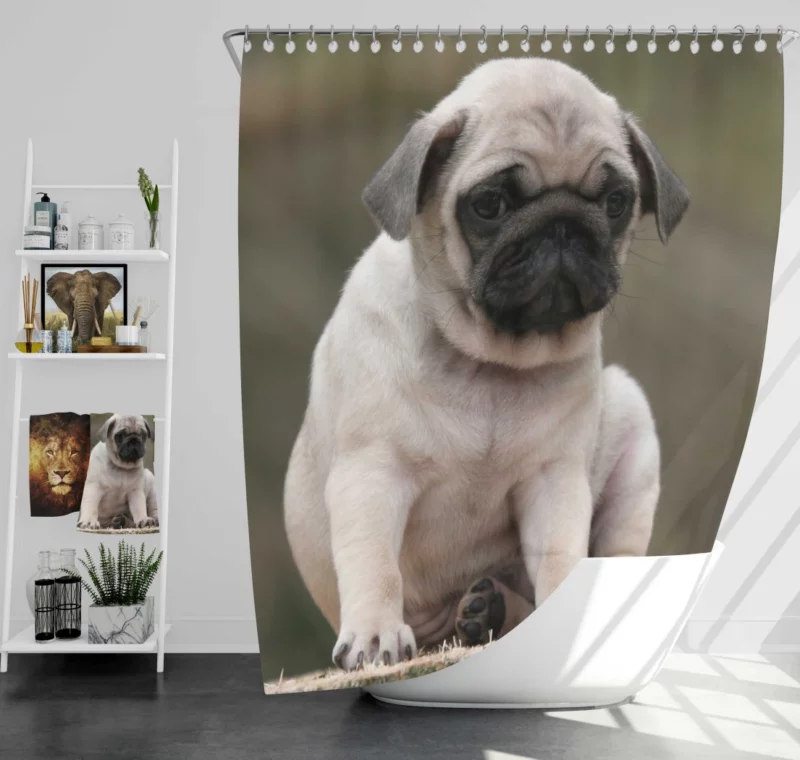 Adorable Play Pug Antics Shower Curtain