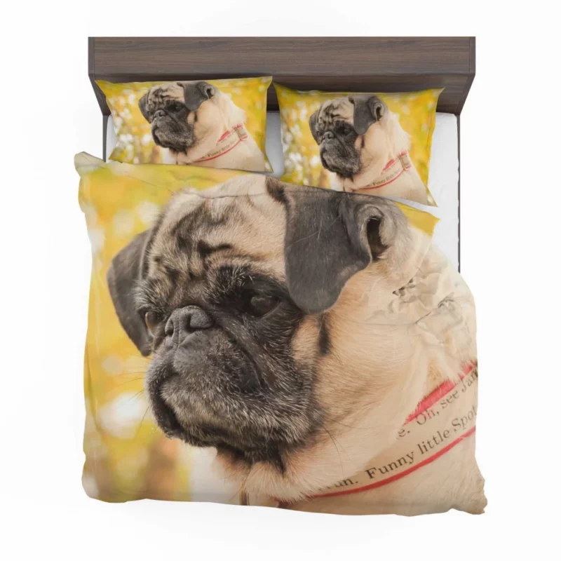 Adorable Pug Portrait Bedding Set 1