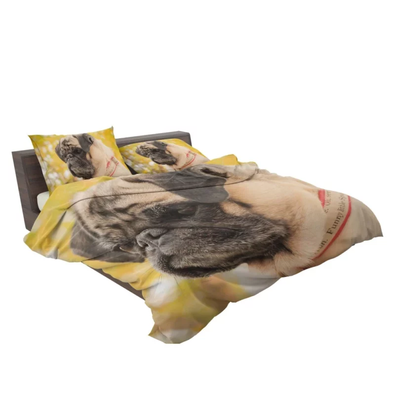 Adorable Pug Portrait Bedding Set 2