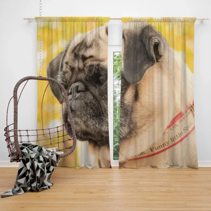 Adorable Pug Portrait Curtain