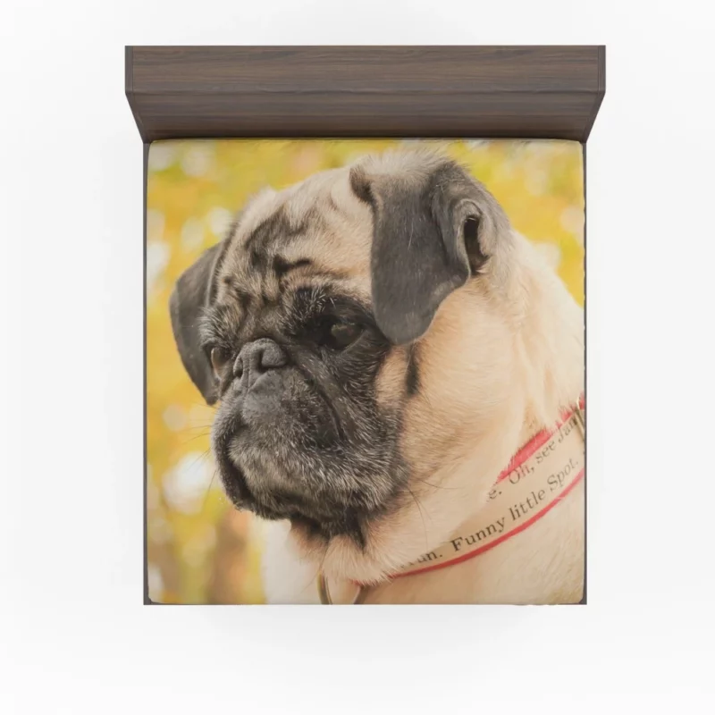 Adorable Pug Portrait Fitted Sheet 1