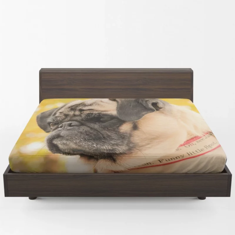 Adorable Pug Portrait Fitted Sheet