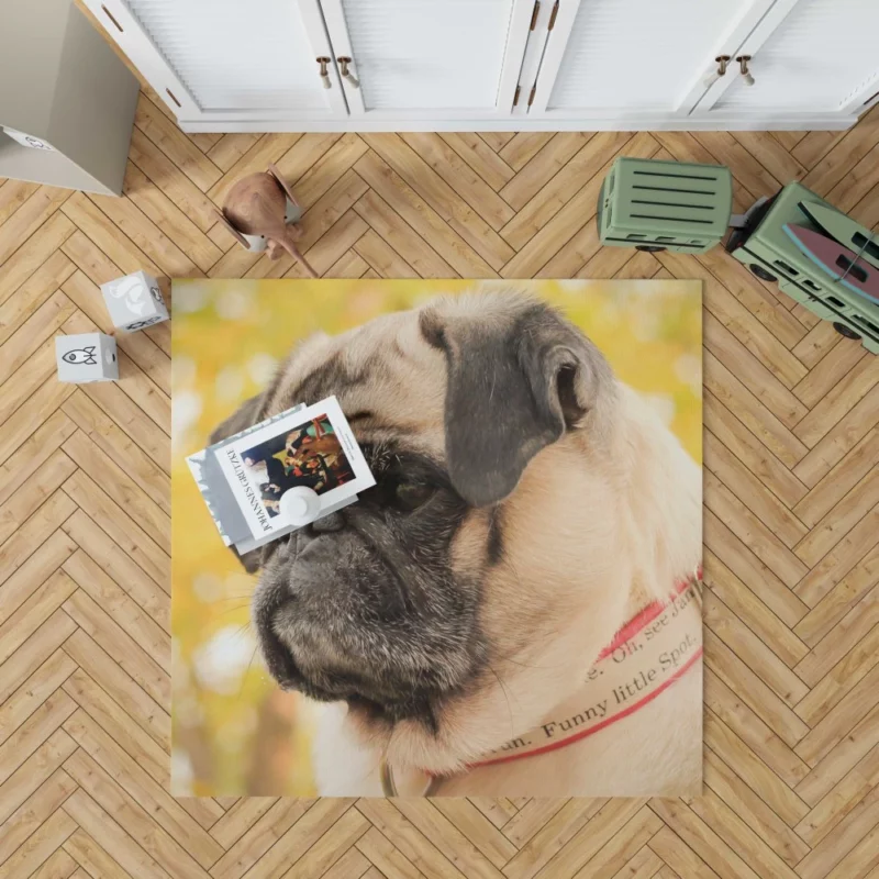 Adorable Pug Portrait Rug