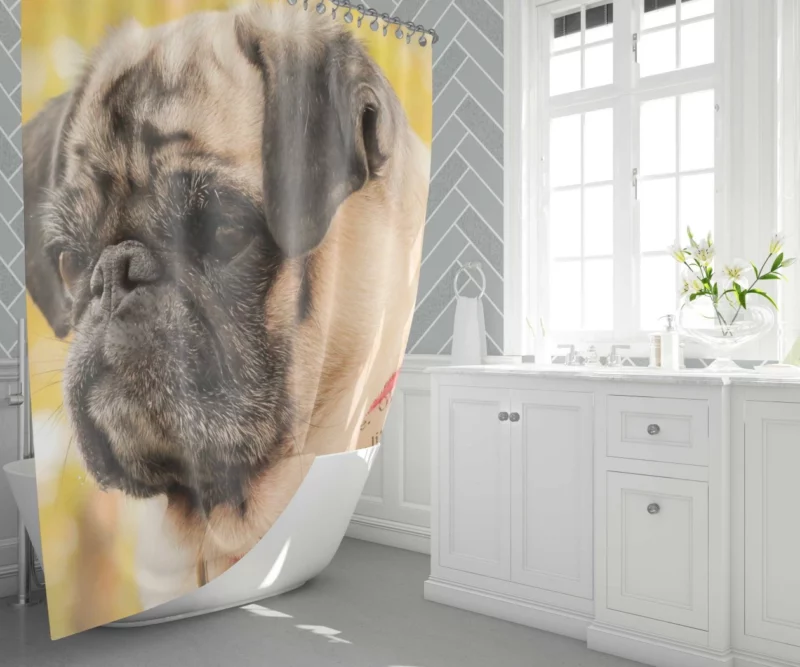 Adorable Pug Portrait Shower Curtain 1