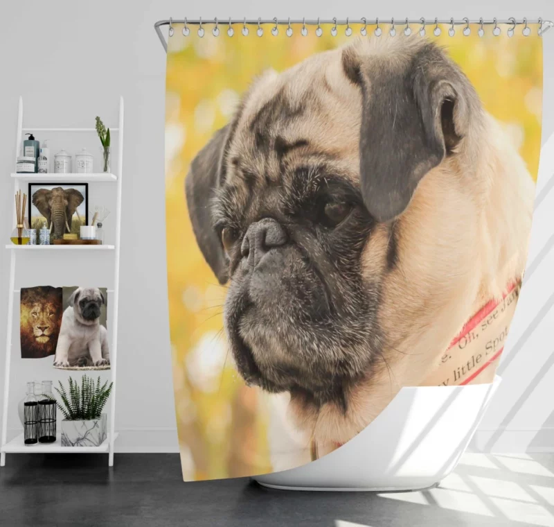 Adorable Pug Portrait Shower Curtain