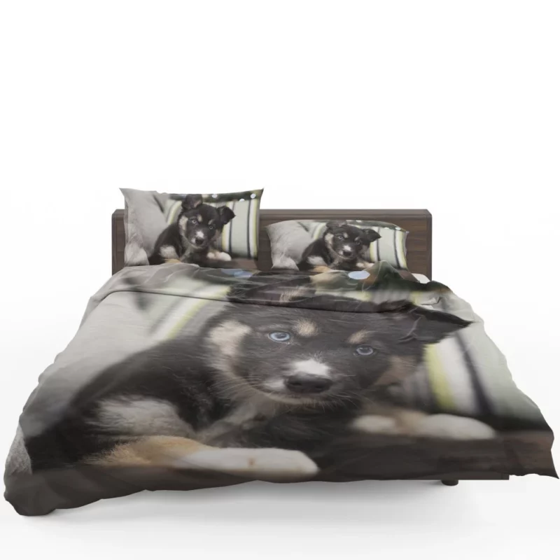 Adorable Puppy Playful Muzzle Bedding Set