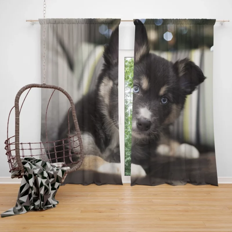 Adorable Puppy Playful Muzzle Curtain