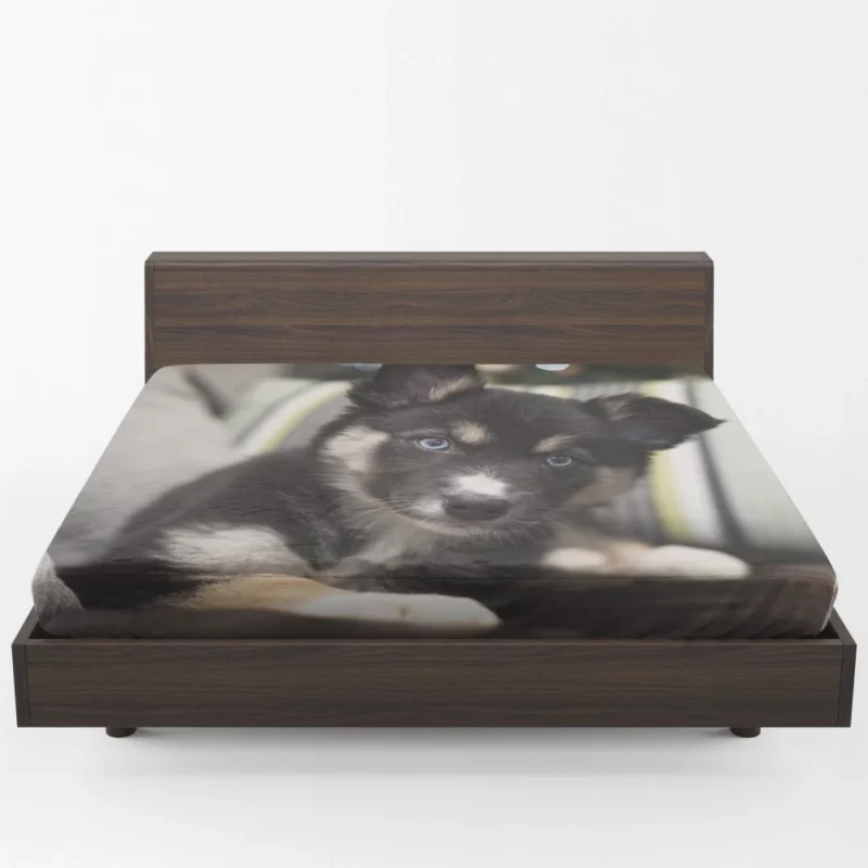 Adorable Puppy Playful Muzzle Fitted Sheet