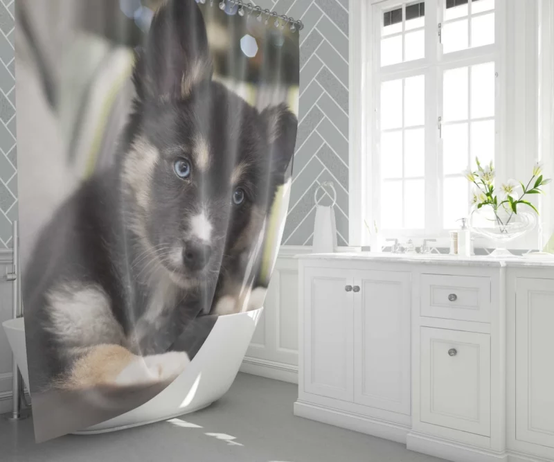 Adorable Puppy Playful Muzzle Shower Curtain 1