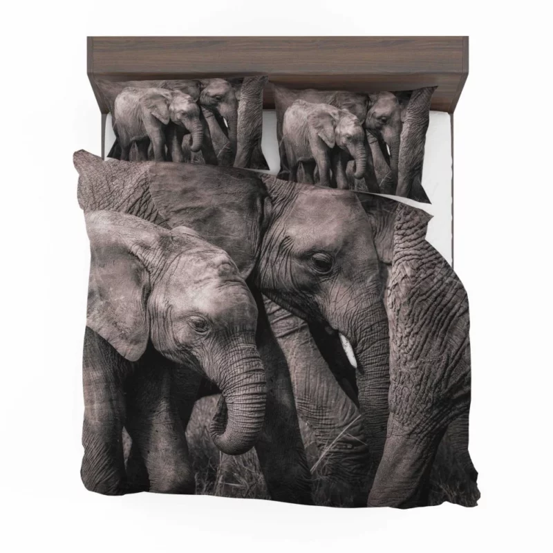 African Bush Elephant Bedding Set 1